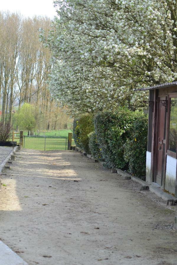 B&B Molenzicht Ninove Exteriér fotografie